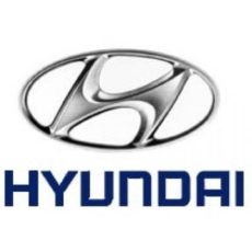 Hyundai Lifters